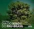 Pau-brasil em São Paulo: um exemplo de cidadania e amor à vida. MÓDULO 1