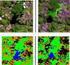 O uso da geometria do Landsat 8 como base para georreferenciamento semiautomático visando estudos espaço-temporais