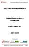 SINTESE DO DIAGNÓSTICO TERRITÓRIO DE PAZ VICENTINA SÃO LEOPOLDO 2010/2011