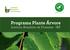Programa Plante Árvore. Instituto Brasileiro de Florestas - IBF