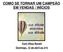 COMO SE TORNAR UM CAMPEÃO EM VENDAS / INÍCIOS. Com Diluz Noveli Domingo, 12 de abril as 21h