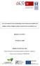 LEVANTAMENTO DA GEOMETRIA DAS PASSAGENS PEDONAIS SOBRE LINHAS FERROVIÁRIAS EXISTENTES EM PORTUGAL. Relatório A1.T1.IST.1.