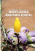 MANUAL PRÁTICO DE MORFOLOGIA E ANATOMIA VEGETAL