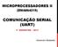 COMUNICAÇÃO SERIAL (UART)