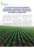 O CULTIVO DA SOJA NA REGIÃO MATOPIBA: GRANDEZA, DESAFIOS E OPORTUNIDADES PARA A PRODUÇÃO DE GRÃOS E SEMENTES