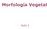 Morfologia Vegetal. Aula 1