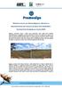 Relatório mensal, por Núcleo Regional, referente ao desenvolvimento das lavouras de Goiás safra 2013/2014 levantamento divulgado em Janeiro/2014