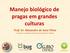 Manejo biológico de pragas em grandes culturas. Prof. Dr. Alexandre de Sene Pinto Consultor em Manejo Racional de Pragas das Culturas