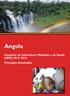 Angola. Inquérito de Indicadores Múltiplos e de Saúde (IIMS) Principais Resultados