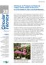 Circular. Técnica. Otimização da Produção de Mudas de Cattleya labiata: Efeito da Sacarose no Crescimento In Vitro e na Aclimatização.