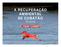 A RECUPERAÇÃO AMBIENTAL DE CUBATÃO. 25 anos