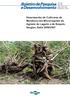 88 ISSN Dezembro, Desempenho de Cultivares de Mandioca nas Microrregiões do Agreste de Lagarto e de Boquim, Sergipe, Safra 2006/2007