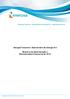 Energisa Tocantins Distribuidora de Energia S/A. Relatório da Administração e Demonstrações Financeiras de 2016