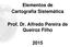 Elementos de Cartografia Sistemática. Prof. Dr. Alfredo Pereira de Queiroz Filho