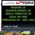 PROGRAMA DE DESENVOLVIMENTO DA CADEIA PRODUTIVA DO CACAU NO PARÁ PRODECACAU/PA: