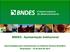 BNDES - Apresentação Institucional. Oportunidades para Investimentos na Indústria Química Brasileira Sinproquim 23 de abril de 2014