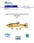 Boletim de Pesquisa ISSN Número, 20 Outubro, Sistema de Controle da Pesca do Mato Grosso do Sul SCPESCA/MS