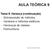 AULA TEÓRICA 9. Tema 8. Herança (continuação) Ø Sobreposição de métodos. Ø Variáveis e métodos estáticos. Ø Hierarquia de classes.