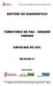 SINTESE DO DIAGNÓSTICO TERRITÓRIO DE PAZ GRANDE VARGAS SAPUCAIA DO SUL 2010/2011