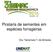 Pirataria de sementes em espécies forrageiras. Dra. Tanismare T. de Almeida