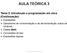 AULA TEÓRICA 3. Tema 2. Introdução a programação em Java (Continuação)