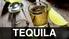 INTRODUÇÃO Conselho Regulador da Tequila