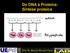 Do DNA à Proteína: Síntese proteica. Prof. Dr. Marcelo Ricardo Vicari