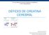 XIII Curso Básico de Doenças Hereditárias do Metabolismo 1ª Parte- Noções Básicas DÉFICES DE CREATINA CEREBRAL