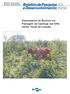 Desempenho de Bovinos em Pastagem de Caatinga sob Diferentes Taxas de Lotação