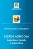 REPÚBLICA DE ANGOLA Governo Provincial da Huíla. INVEST HUÍLA 2015 Fórum de Negócios e Oportunidades de Investimento OPORTUNIDADES DE INVESTIMENTO