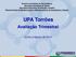 UPA Torrões. Avaliação Trimestral. Junho à Agosto de 2012