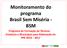 Monitoramento do programa Brasil Sem Miséria - BSM Programa de Formação de Técnicos Estaduais e Municipais para Elaboração do PPA