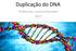 Duplicação do DNA. Professora: Luciana Ramalho 2017