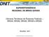 SUPERINTENDÊNCIA REGIONAL DE MINAS GERAIS. Câmaras Temáticas de Rodovias Federais BR040, BR383, BR482, BR499 e BR265