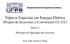Tópicos Especiais em Energia Elétrica (Projeto de Inversores e Conversores CC-CC)