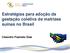 Estratégias para adoção da gestação coletiva de matrizes suínas no Brasil. Cleandro Pazinato Dias