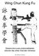 Wing Chun Kung Fu 詠春拳學會. Desenvolva suas potencialidades através das artes marciais chinesas. Sifu Marcos Teixeira