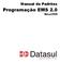 Manual de Padrões. Programação EMS 2.0. Março/2006