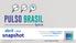 snapshot abril 2016 Para acesso ao relatório completo, seja assinante do Pulso Brasil IPSOS PUBLIC AFFAIRS
