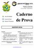 Caderno de Prova ASSISTENTE SOCIAL. Estado do Amazonas Prefeitura de Boca do Acre Concurso Público - Edital 002/2015. Data 31/10/2015.