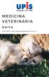 S U M Á R I O. 1 Ainda Ocorrem Casos de Raiva Humana? 2 O que é a Raiva? 3 Como a Raiva é Transmitida? 4 Como Previnir a Raiva?