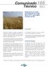 Estimativa do Custo de Produção de Trigo, Safra 2011, para Mato Grosso do Sul