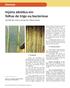 Injúria abiótica em folhas de trigo ou bacteriose