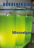 AGROENERGIA. Microalgas. em REVISTA ISSN