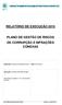 RELATÓRIO DE EXECUÇÃO 2015 PLANO DE GESTÃO DE RISCOS DE CORRUPÇÃO E INFRAÇÕES CONEXAS