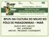 BPUFs NA CULTURA DO MILHO NO PÓLO DE PARAGOMINAS PARÁ. BAZÍLIO WESZ CARLOTO ENG. AGRONÔMO DIRETOR - PRESIDENTE COOPERNORTE