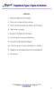 ANEXOS: I. Termo de Abertura de Processo; II. Termo de Juntada de Documentos; III. Termo de Encerramento de Volume de Processo;