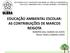 EDUCAÇÃO AMBIENTAL ESCOLAR: AS CONTRIBUIÇÕES DE MARCOS REIGOTA ROBERTA DALL AGNESE DA COSTA PAULO TADEU CAMPOS LOPES