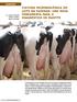 Cultura microbiológica do leite na fazenda: uma nova ferramenta para o diagnóstico de mastite