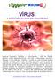 VÍRUS: A ESTRUTURA DO HIV E SEU CICLO DE VIDA
